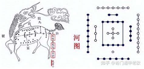 金兑|乾、兑为什么属金？震、巽为什么属木？